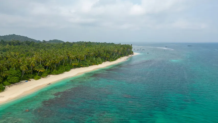 Pelee Island Winery Half Marathon