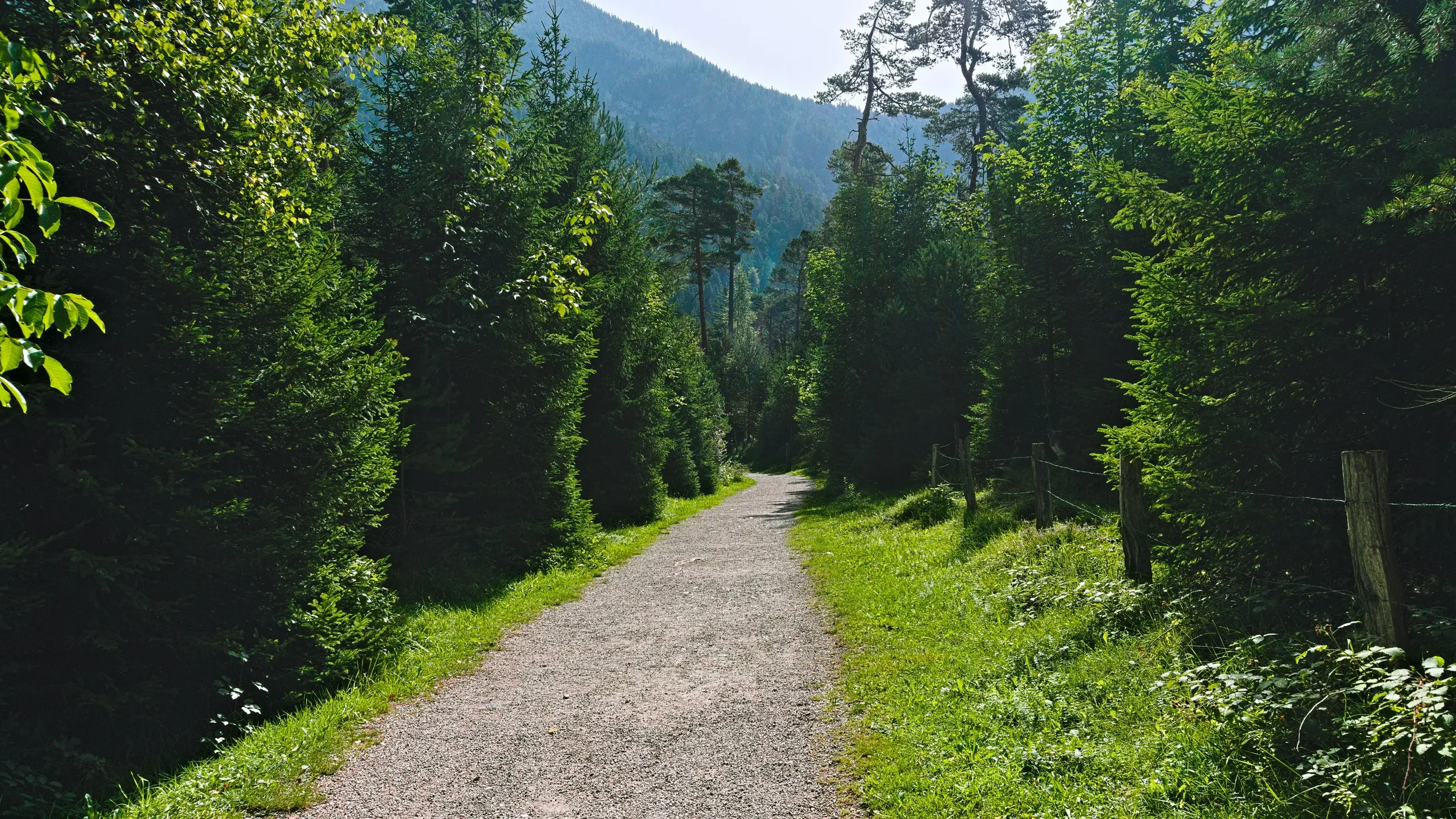 Greenbrier River Trail Marathon & Half Marathon
