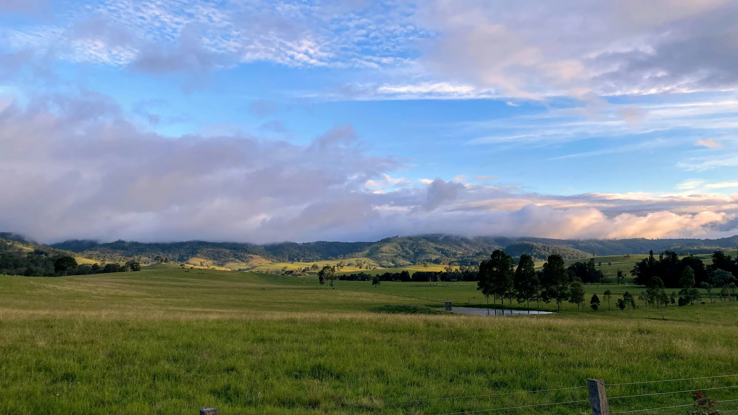 Carcoar Cup Running Festival 2025