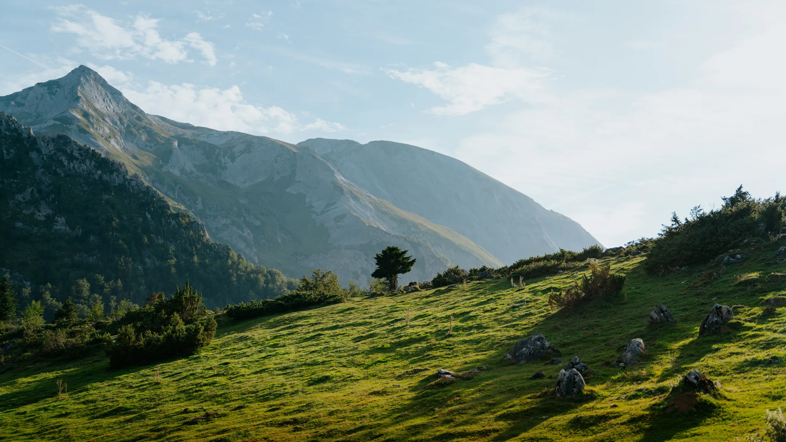 Les 10km de Jurançon