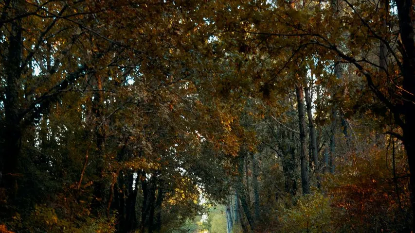 10km from Saint Medard International