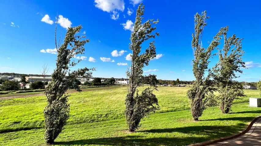 Dubbo Stampede