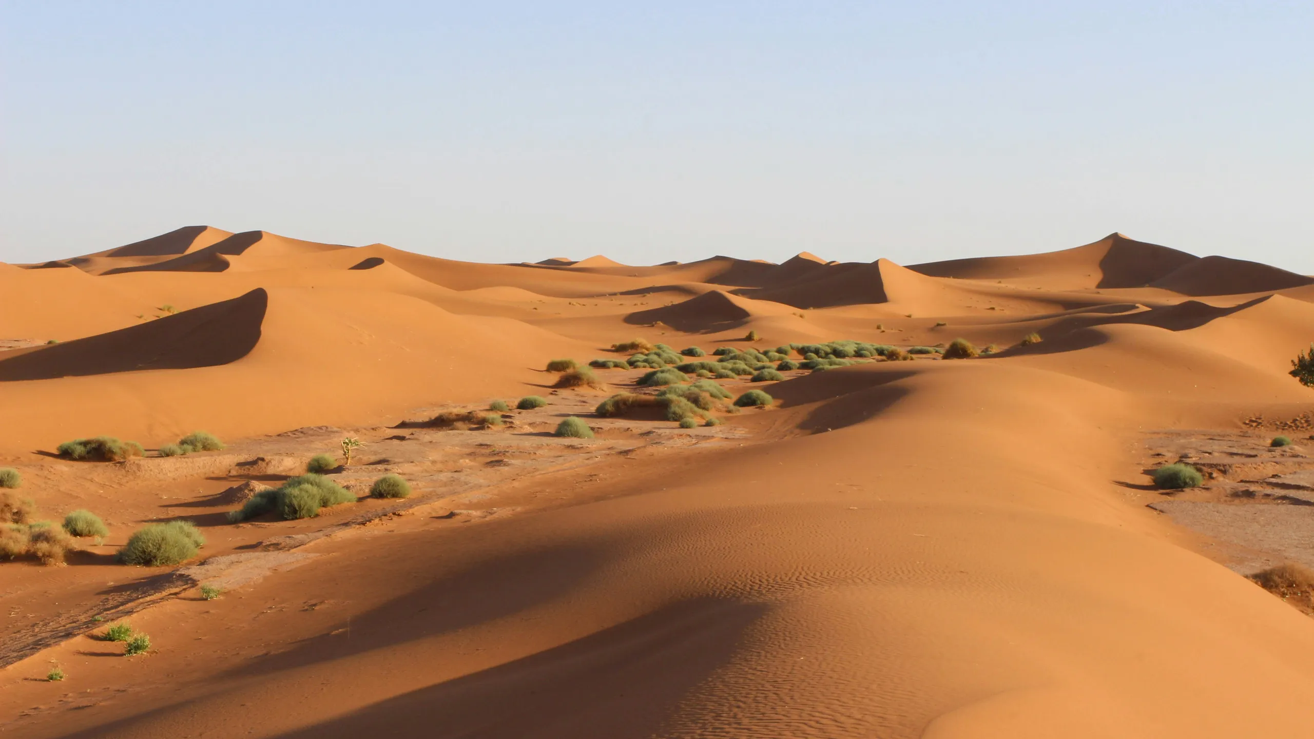 Ultra X Sahara 2026