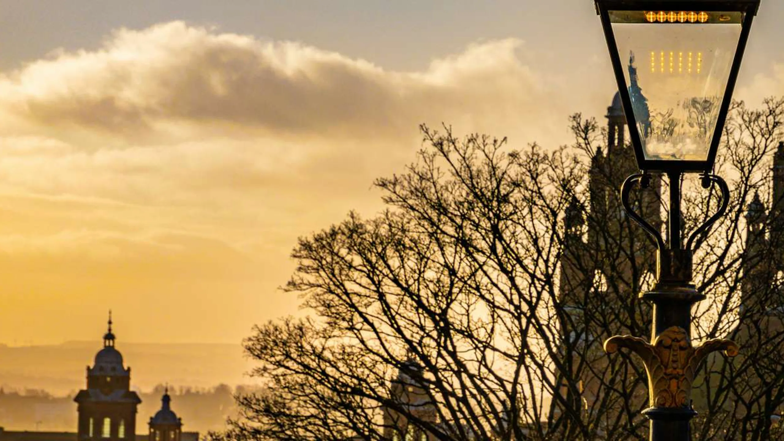 Pollok Park 5k/10k