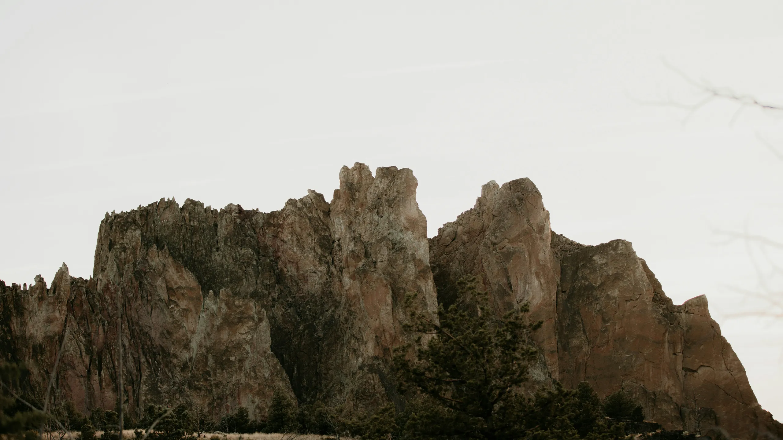 Oregon Cascades 100 2025