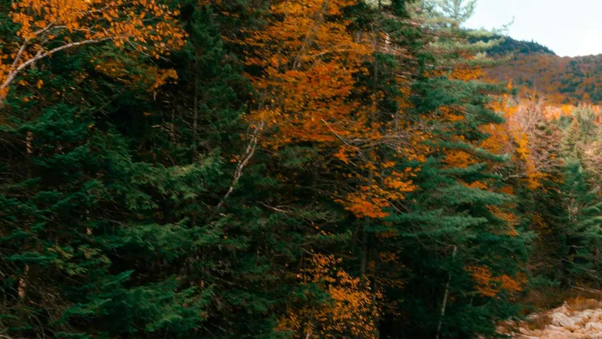 New England Series – Claremont