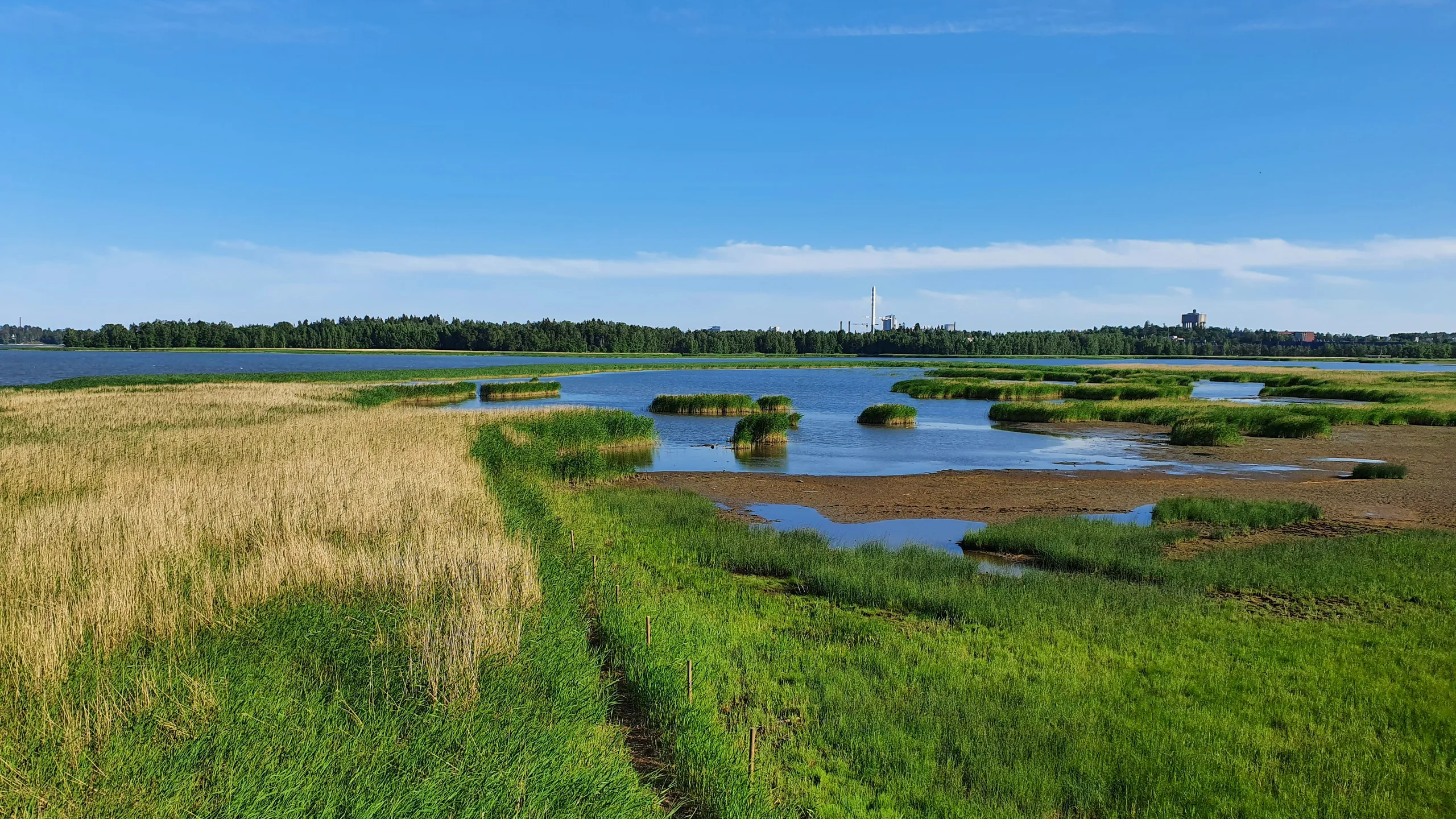 Nuuksio Classic Trail Marathon