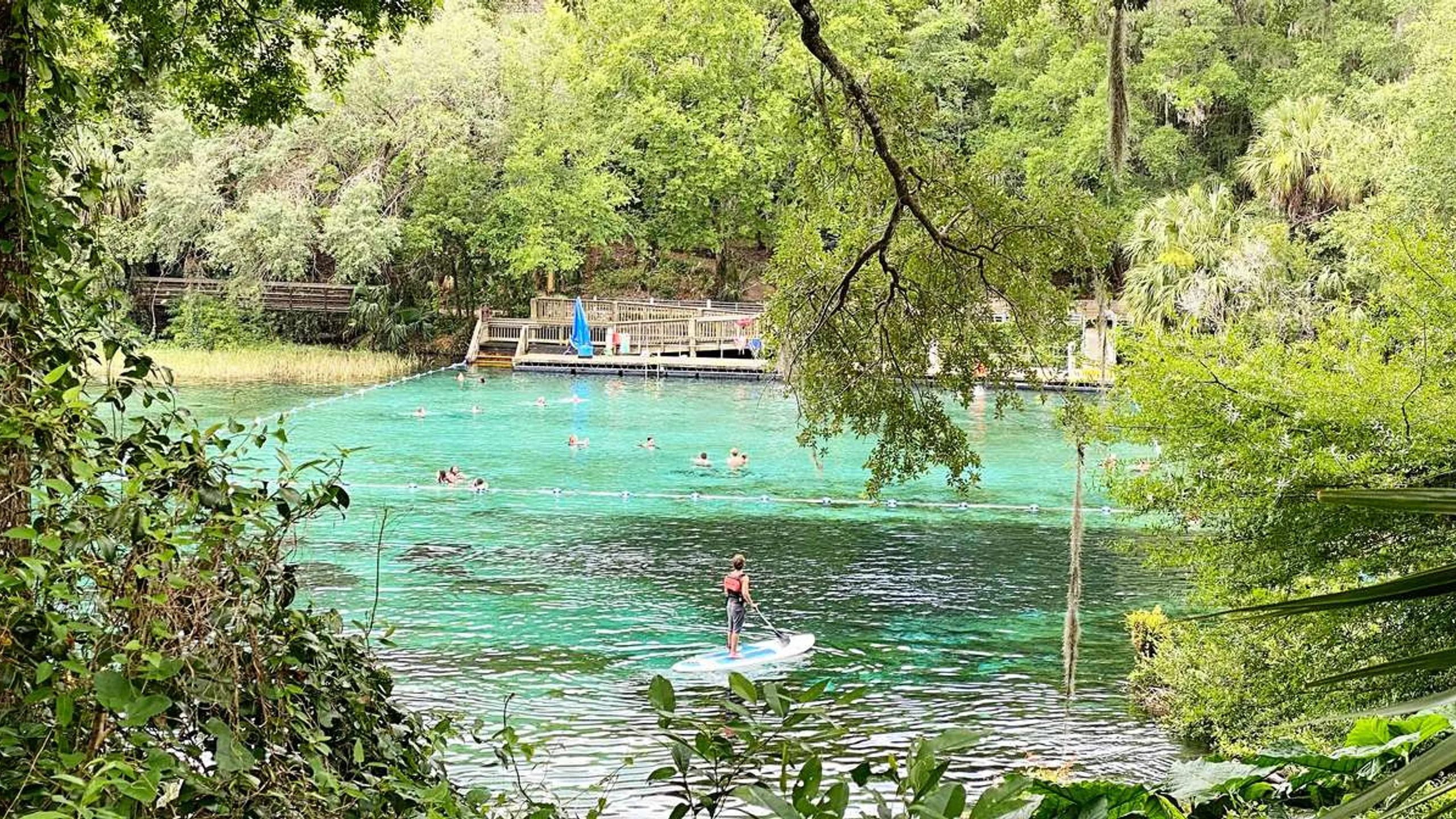 Withlacoochee River Run