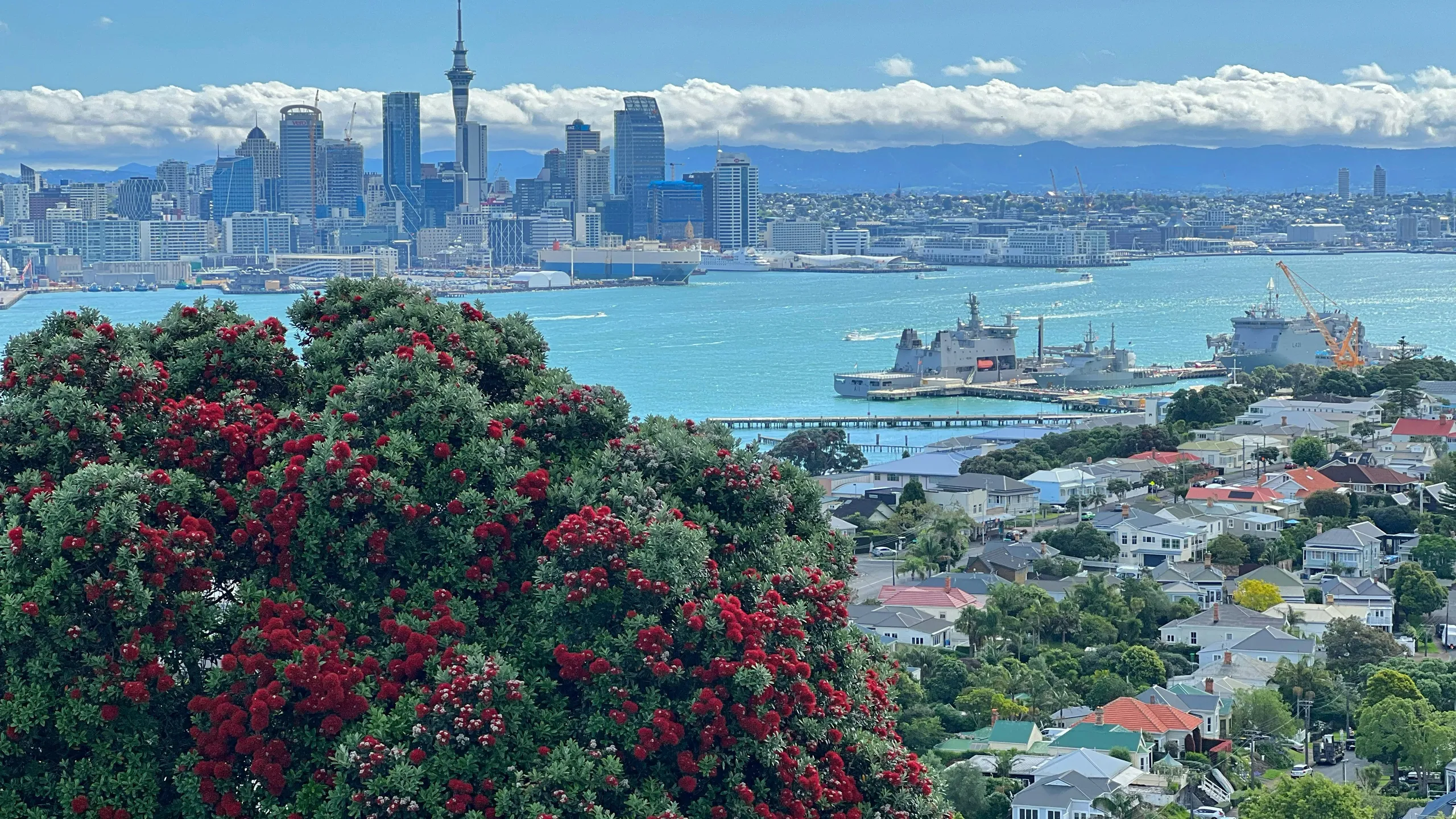 Harcourts Cooper & Co Run the Point