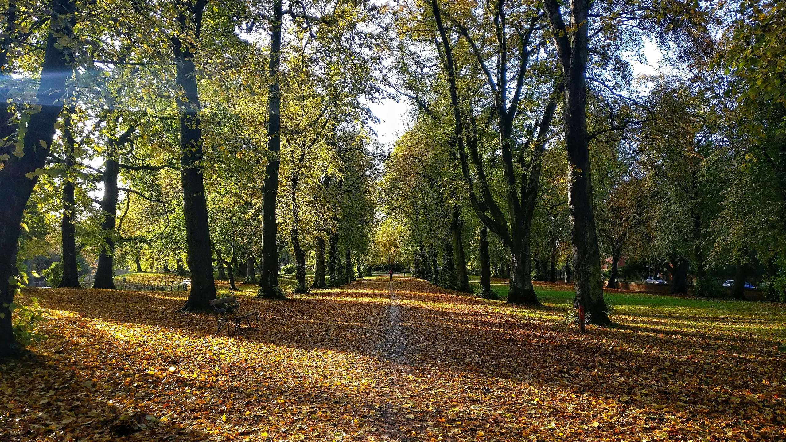 Heaton Park 5k, 10k, Half Marathon & Junior Race August 2025