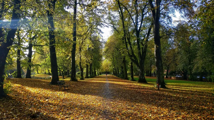 Heaton Park 5k, 10k, Half Marathon & Junior Race August 2025