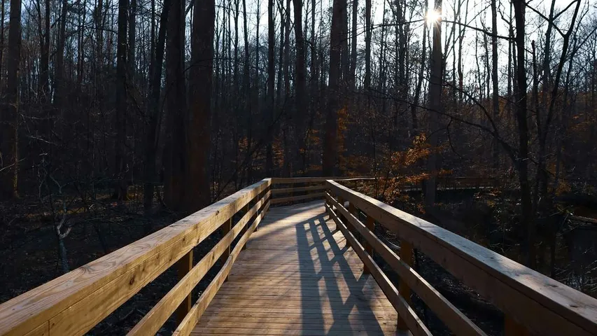 Cary Greenways Half-Marathon