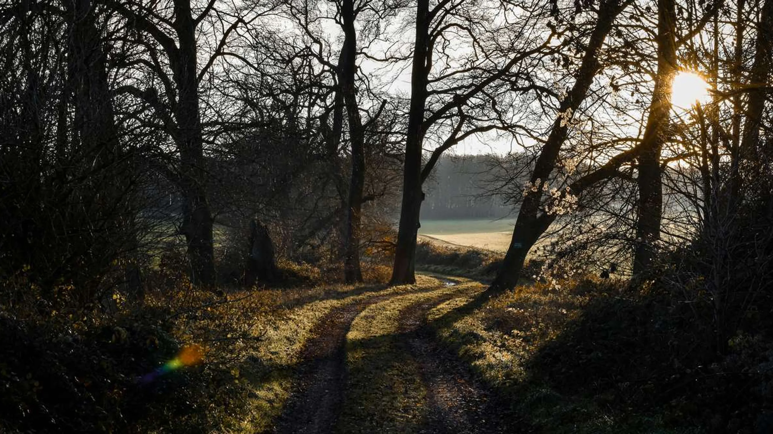 Run Silchester