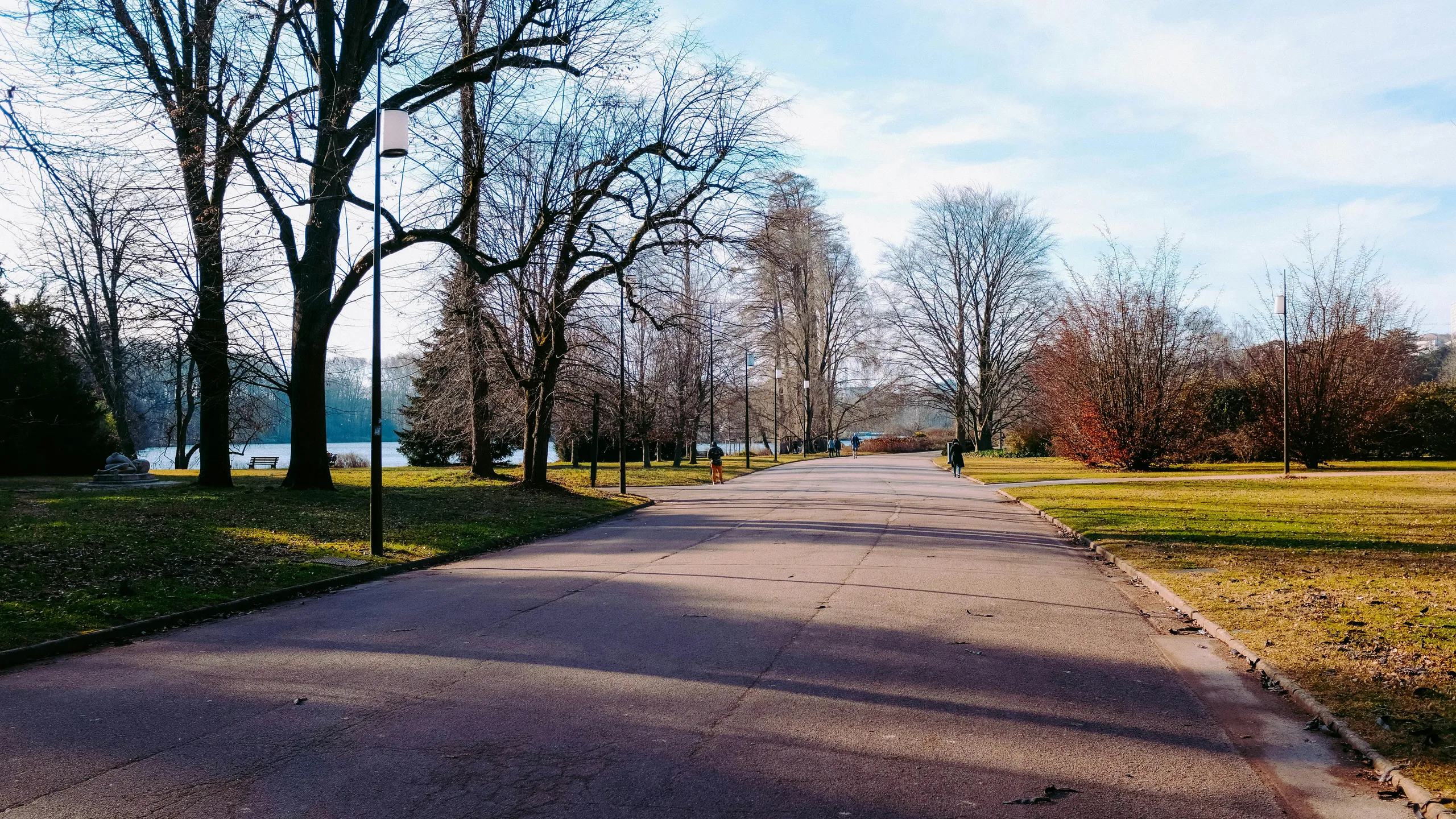 Run Wild for the Detroit Zoo