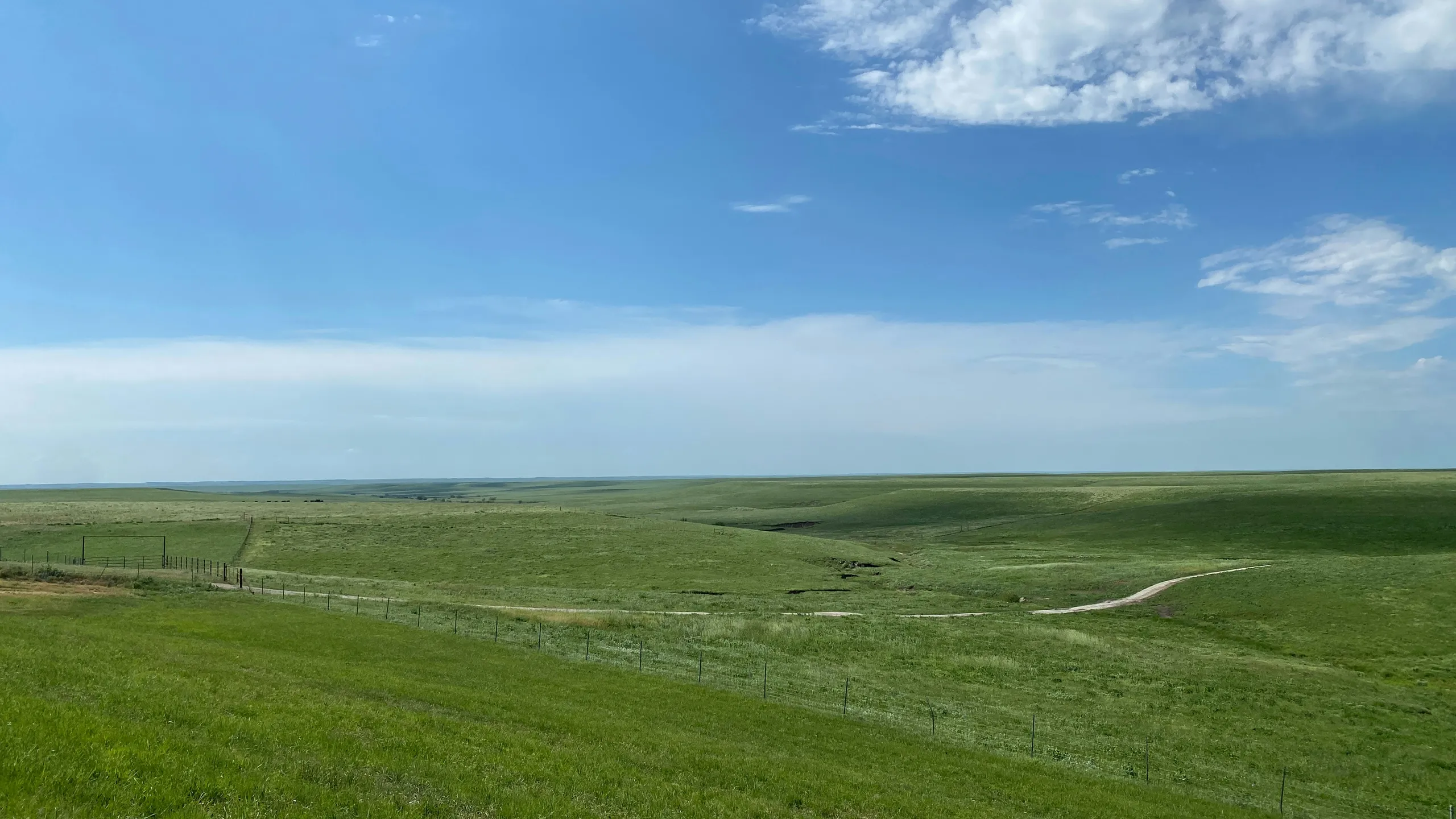 Bill Snyder Half Marathon & 5K 2026