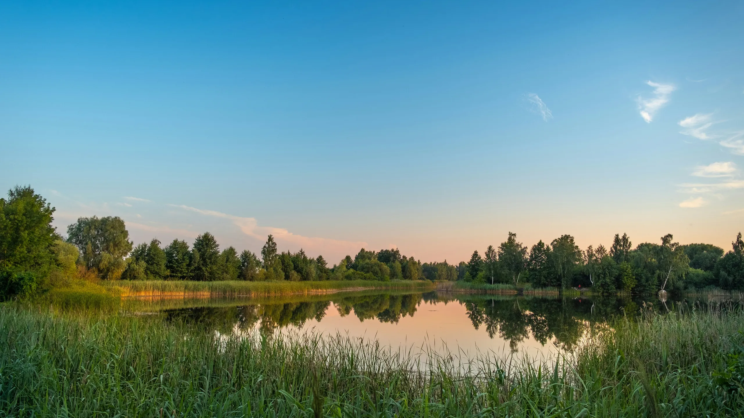 Ramstein-Miesenbacher Seewooglauf
