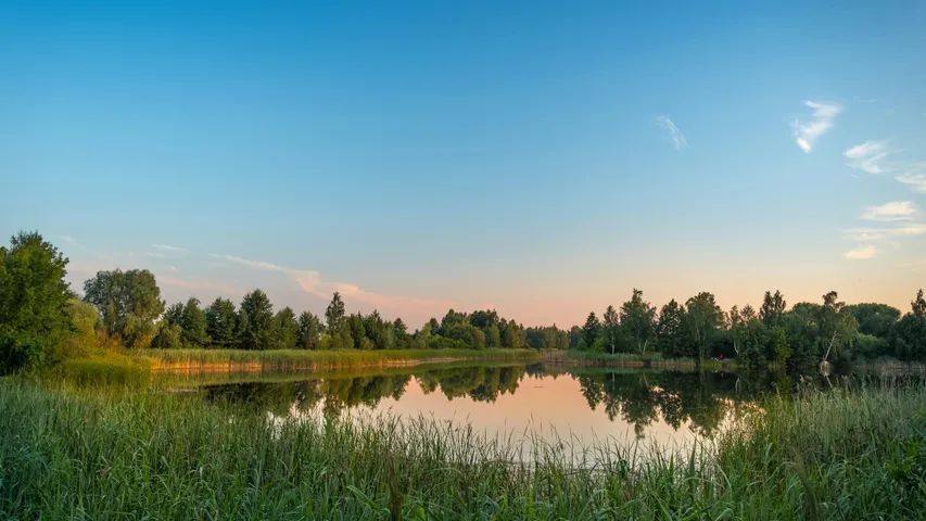 Ramstein-Miesenbacher Seewooglauf