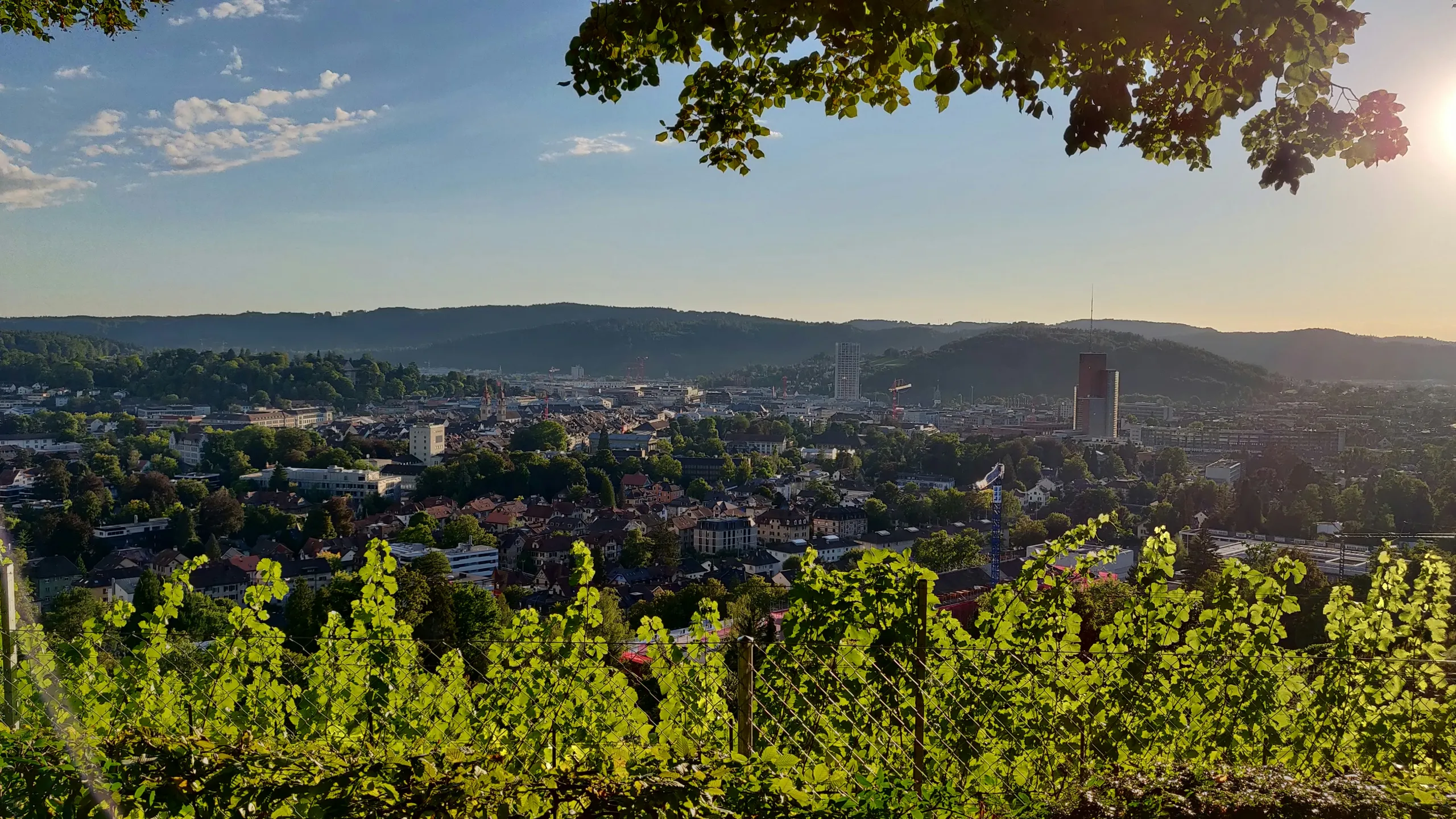 Laufsporttag Winterthur
