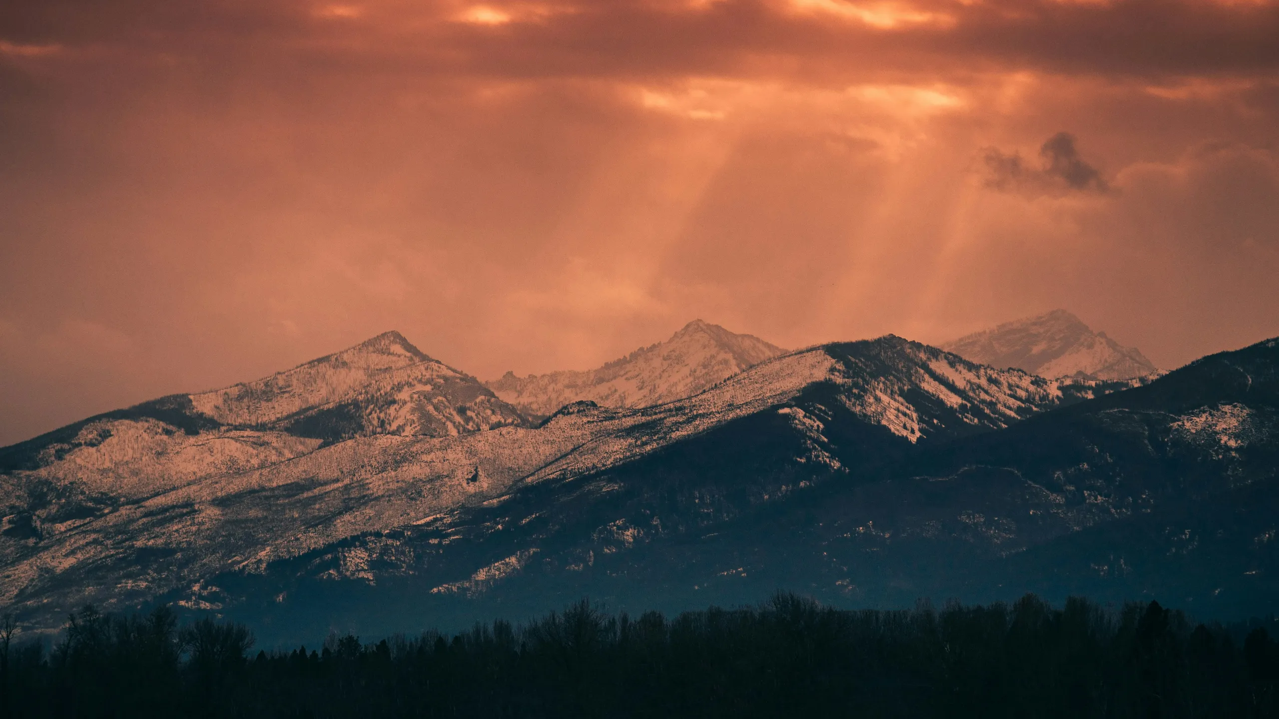 Run for the Luck of It!