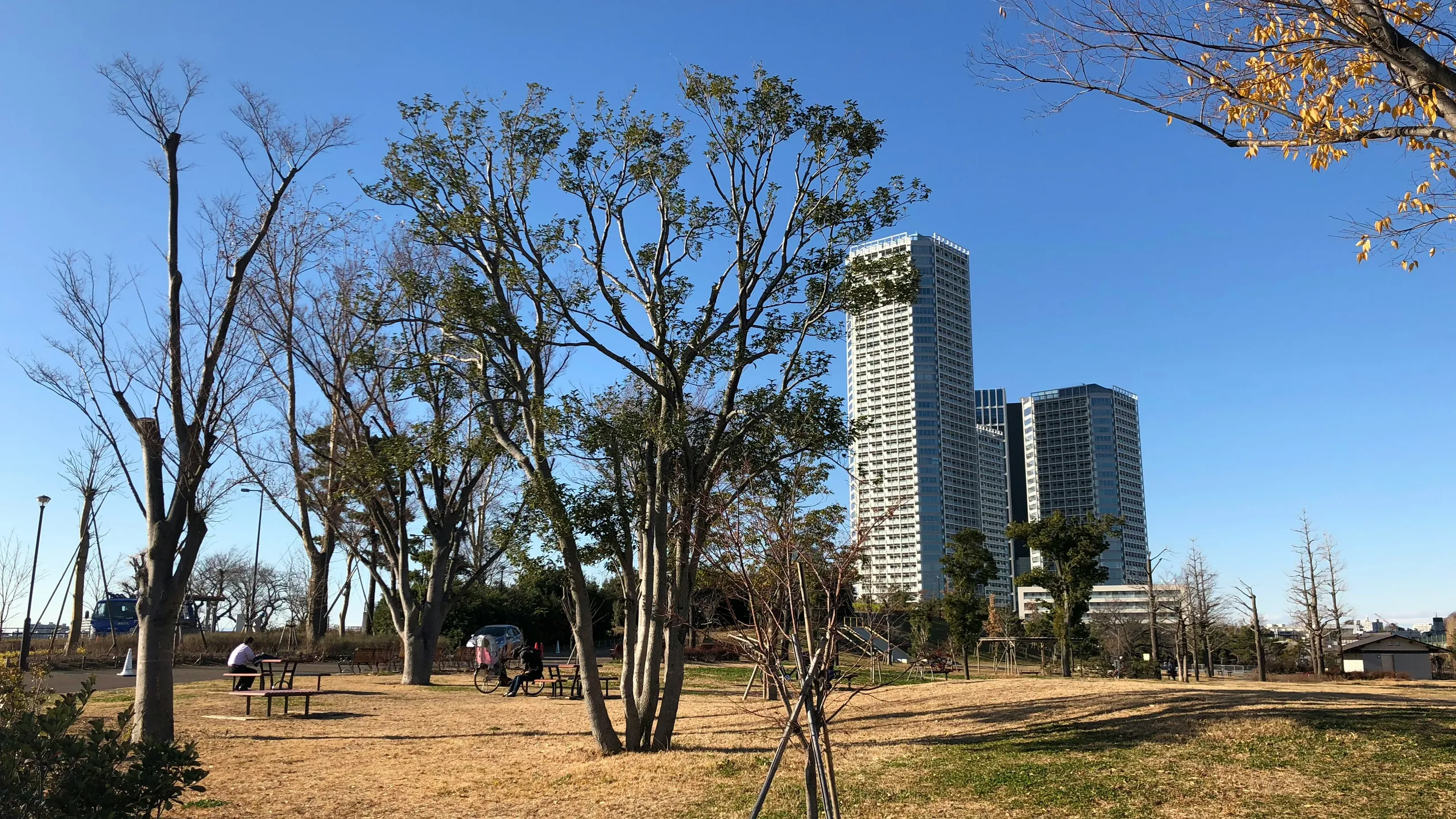 Setagaya 246 Half Marathon