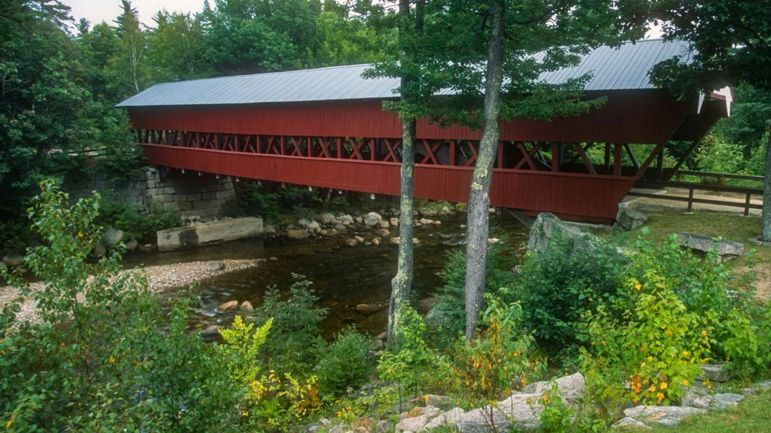 Restore Hyper Wellness New Castle 10k