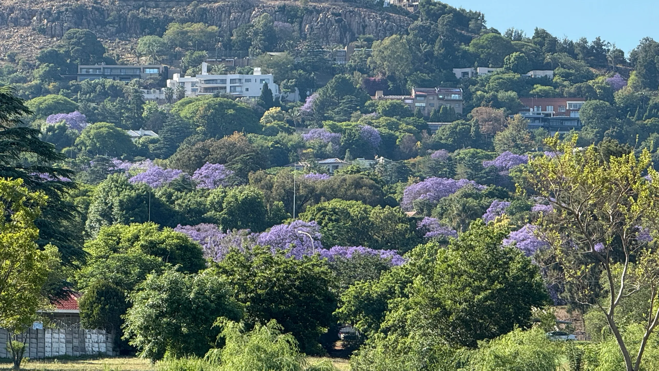 RAC City Lodge Tough One