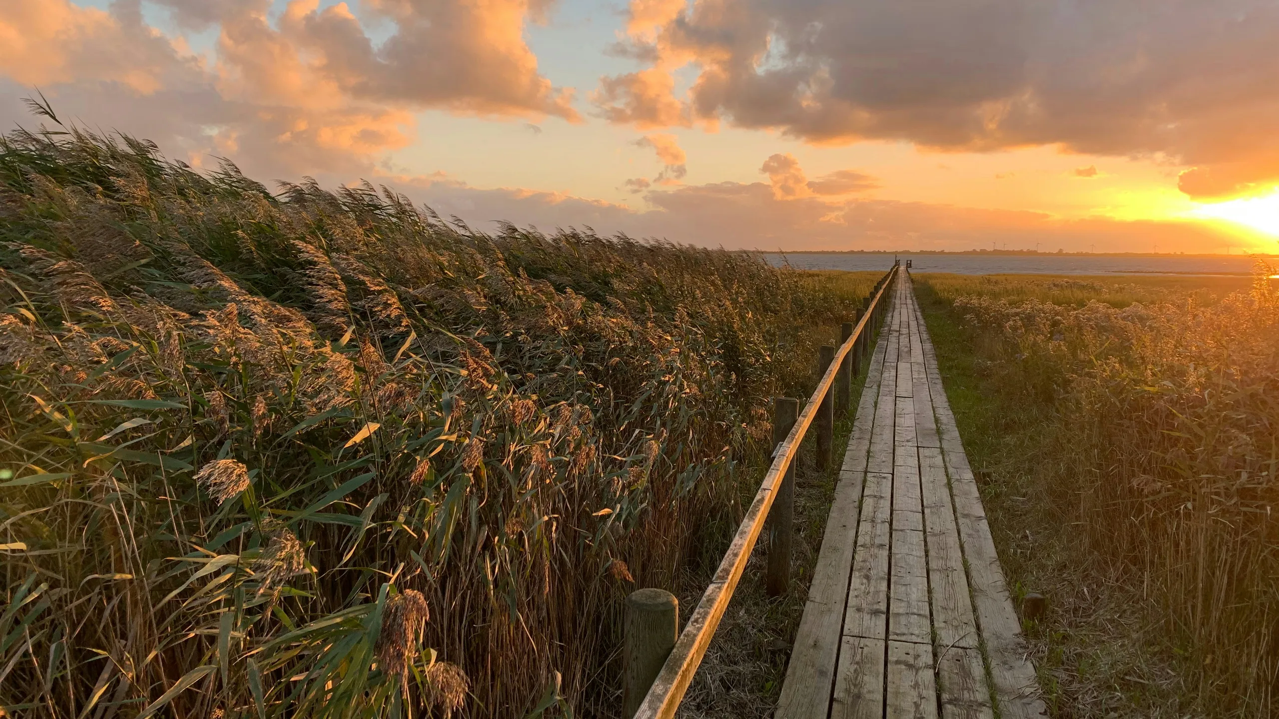 NOSPA Winter Straßenlaufserie