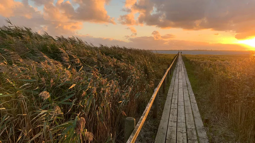 NOSPA Winter Straßenlaufserie