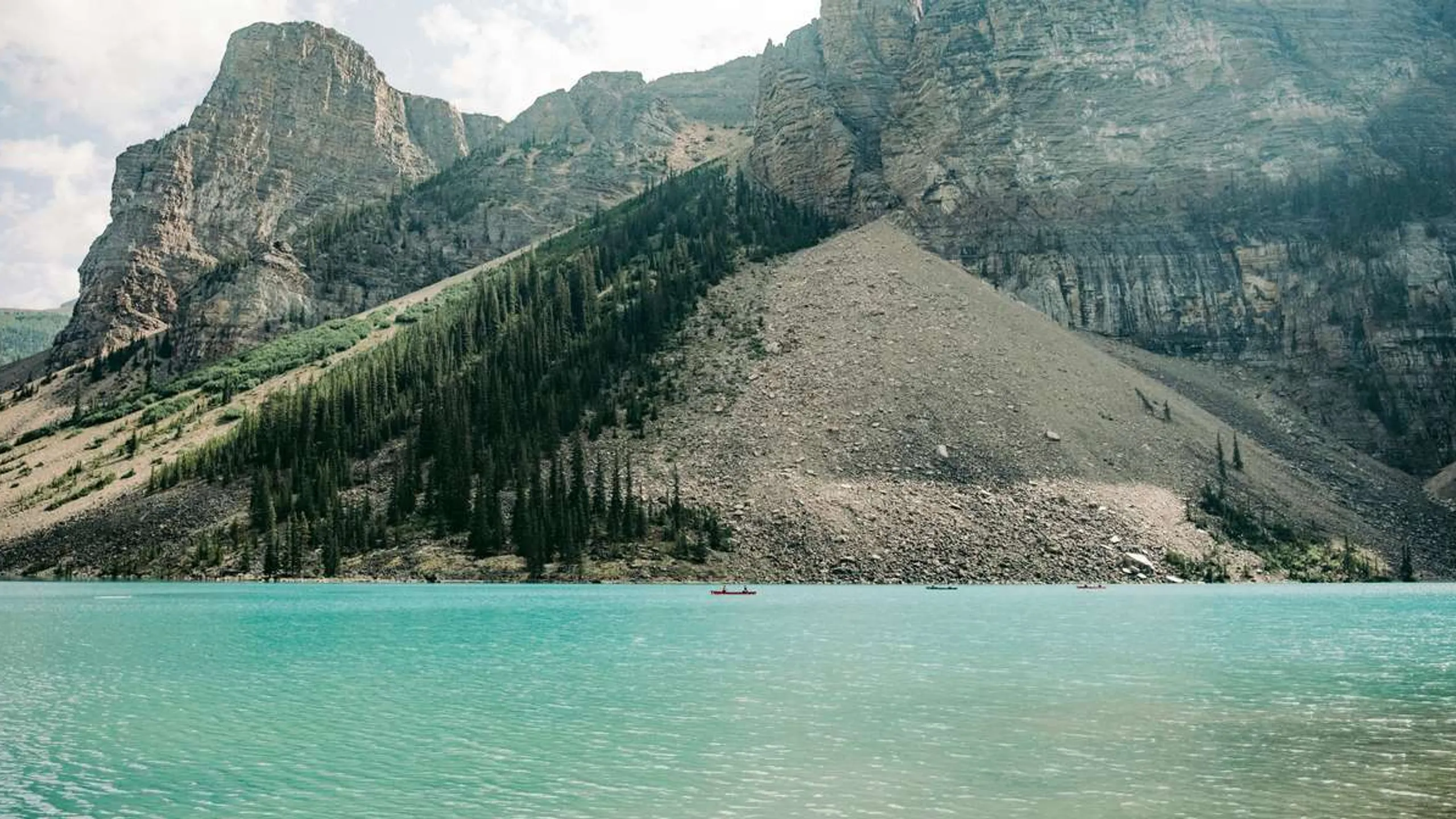 5 Peaks Trail Running Series: Bowmont Park