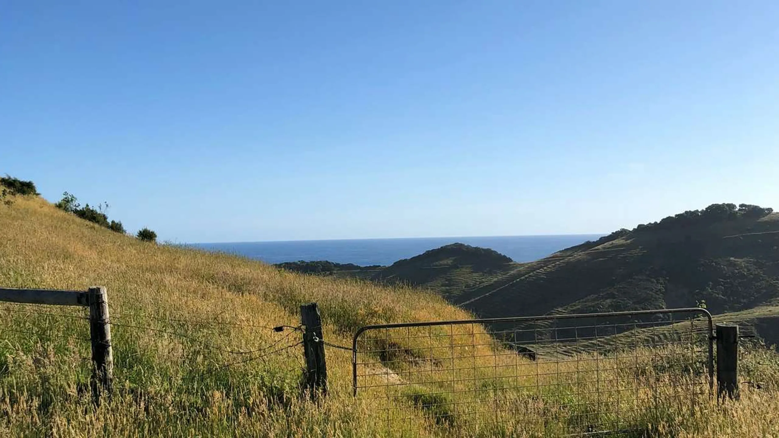 Delirous W.E.S.T 100 & 200 Miler