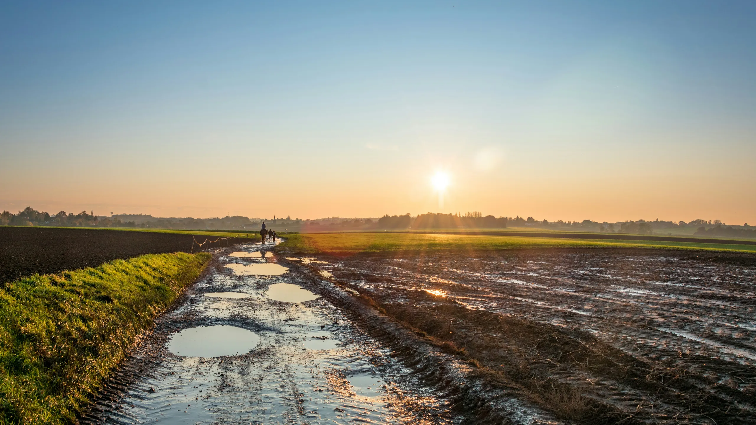 Trail Nocturne La Lasnoise