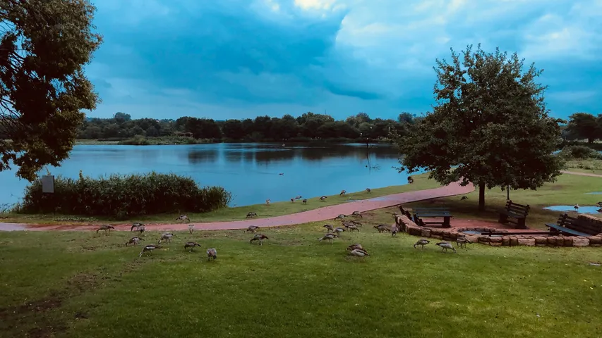 StaminoGro Edenvale Marathon