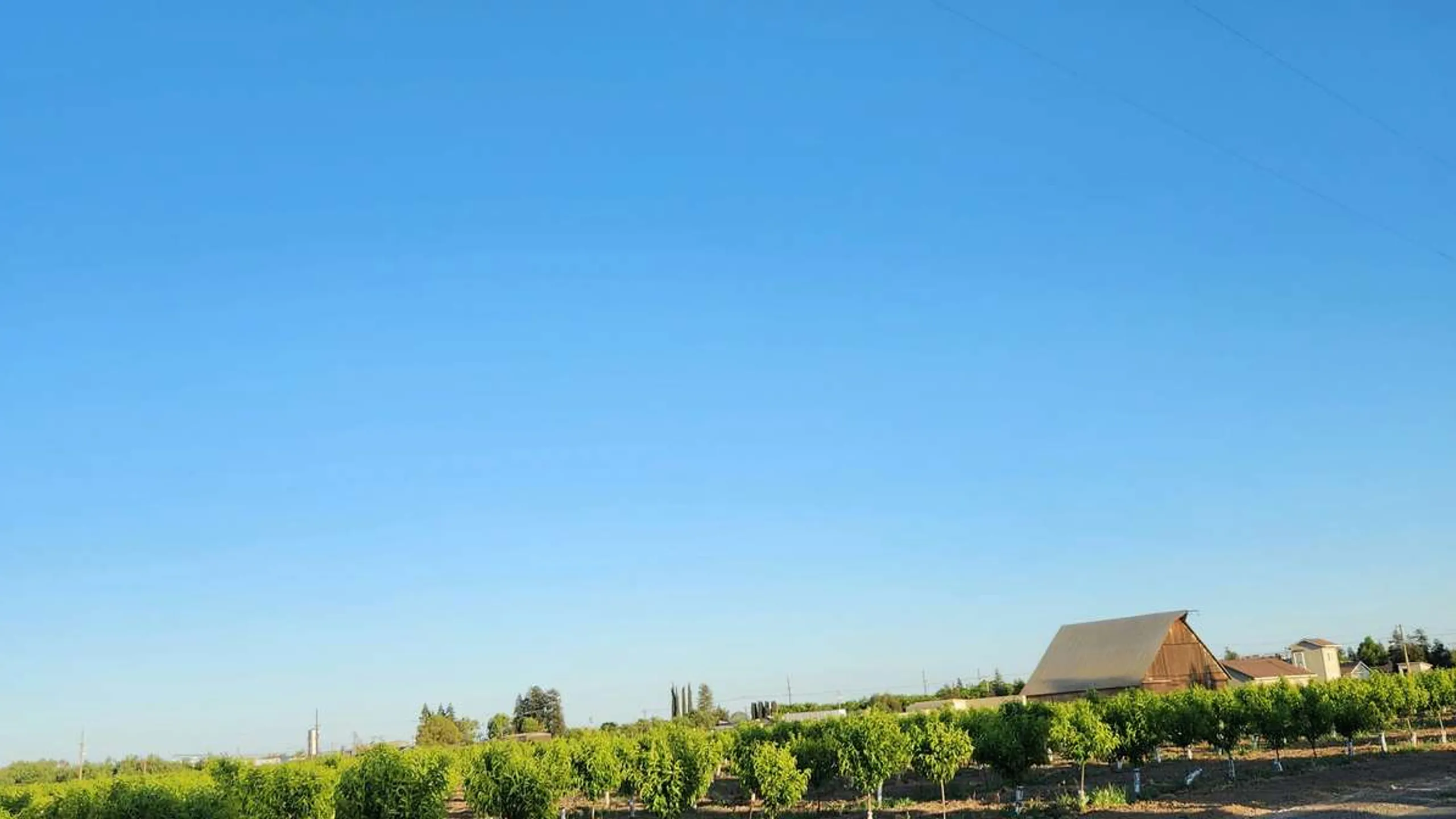 Modesto Marathon