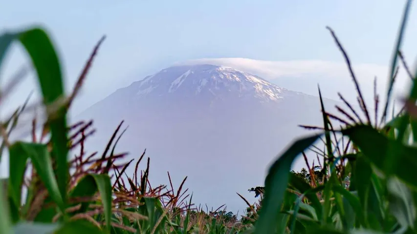 Kilimanjaro Premium Lager Marathon