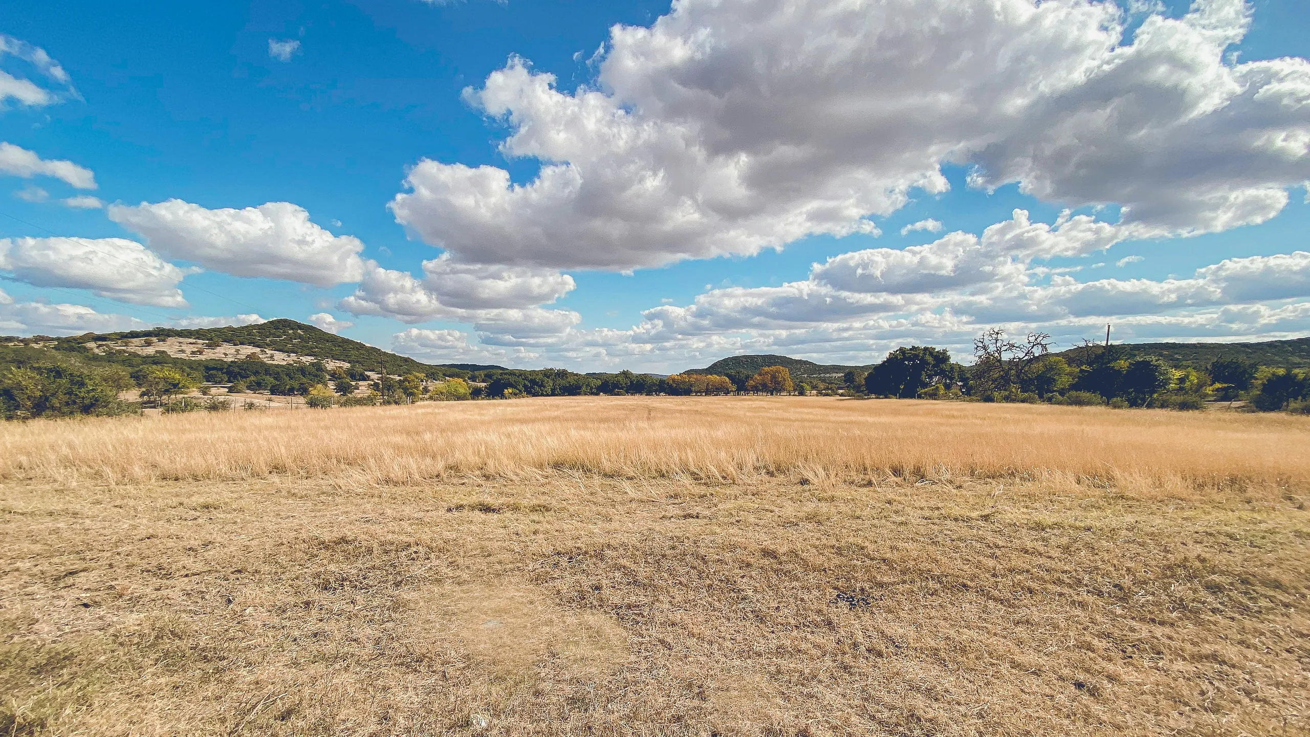 Cactus Rose Endurance Trail Race