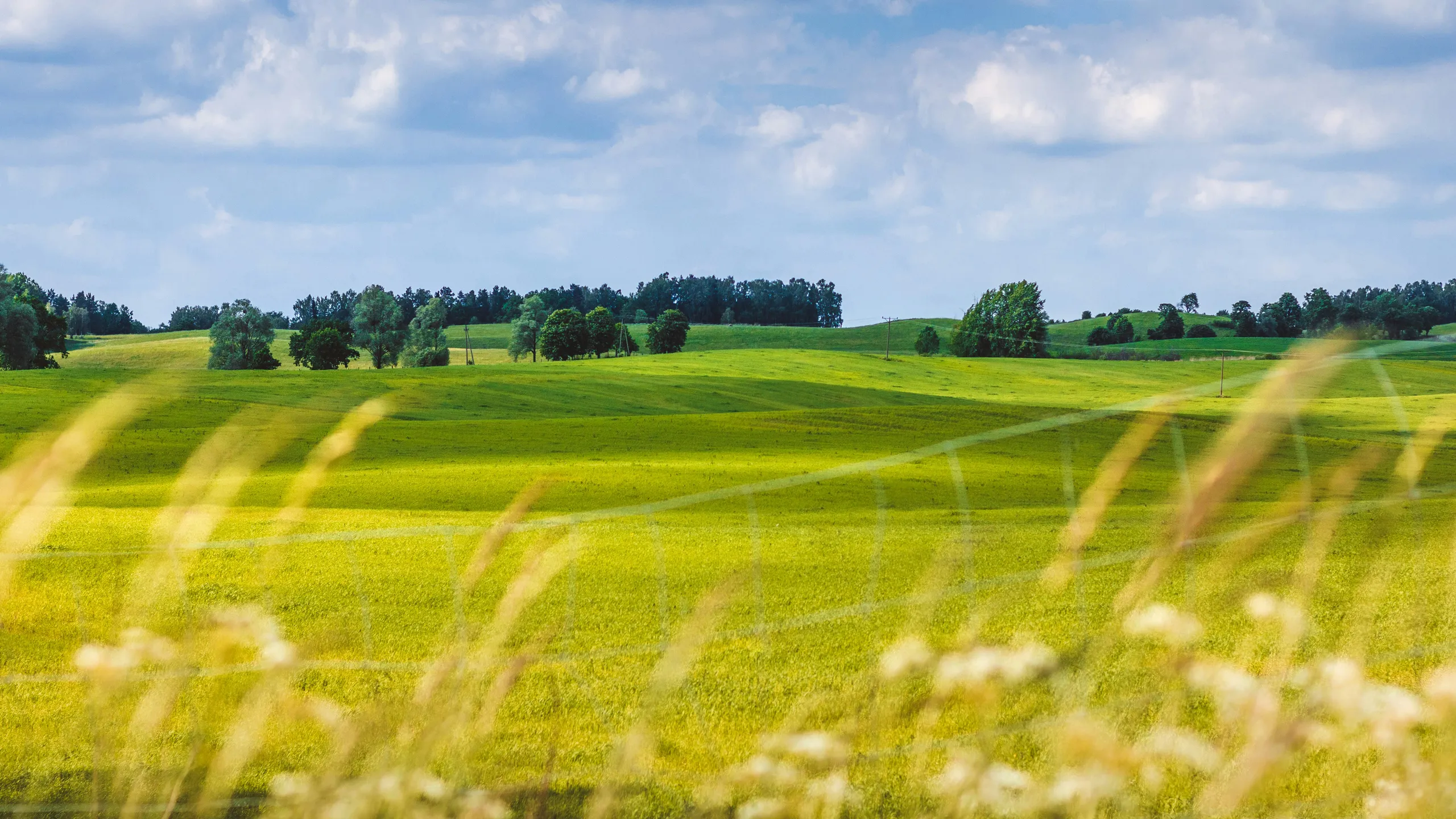 Łemkowyna Ultra-Trail®