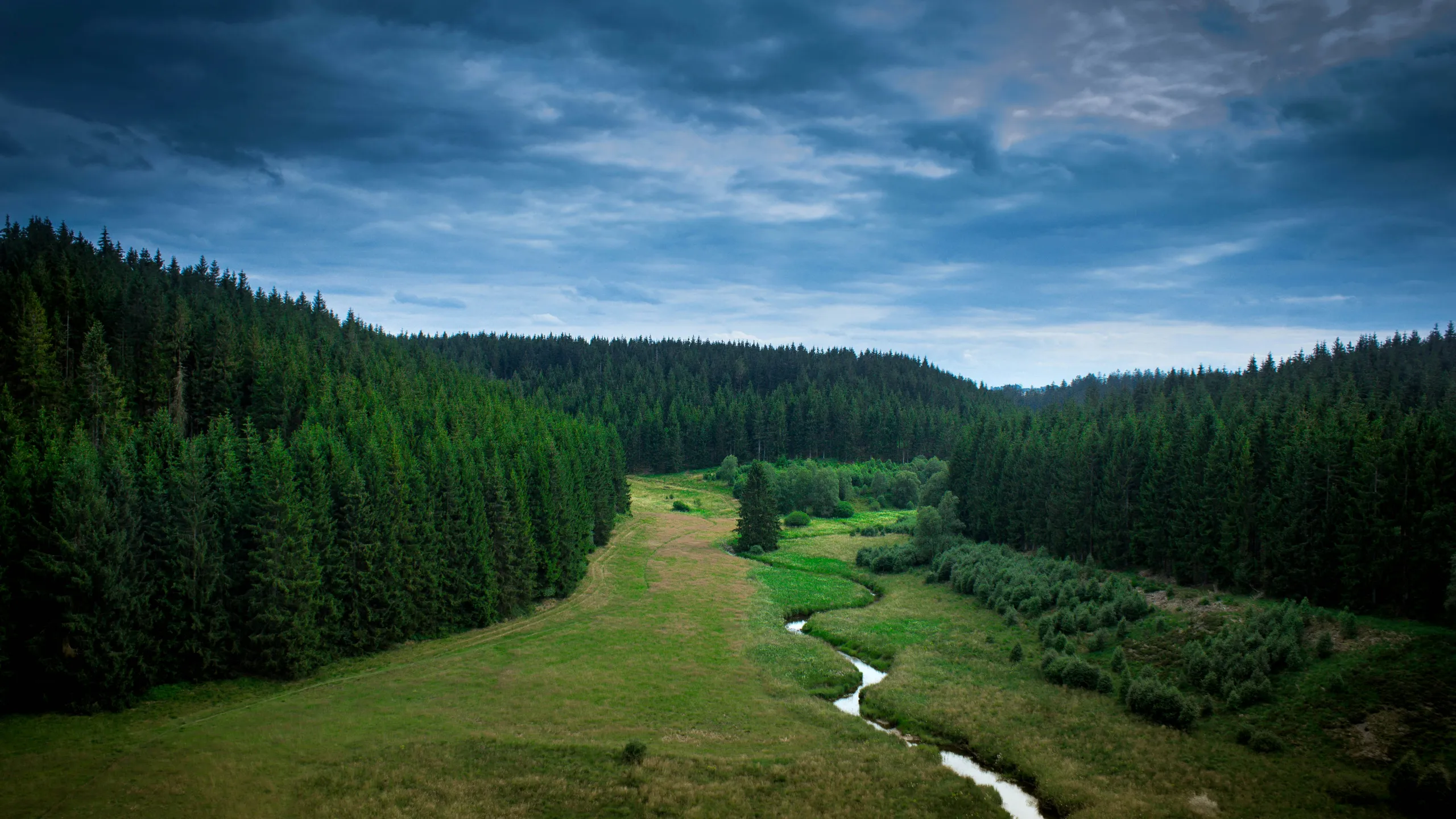 Kemmelberg Trail