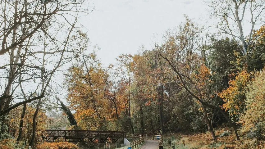 Hyner View Trail Challenge