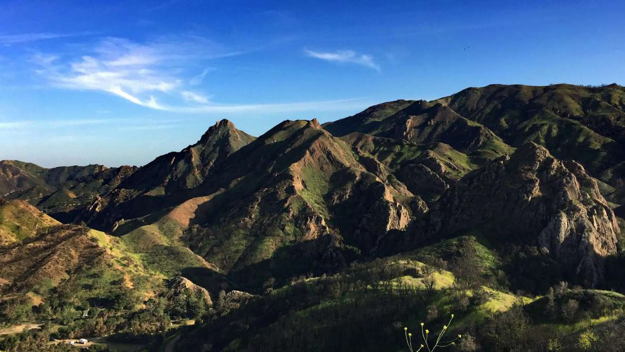 Chesebro Half Marathon