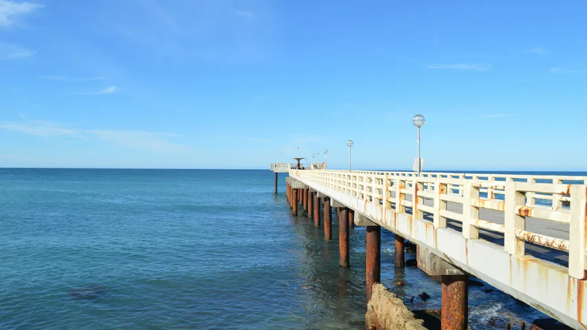 Flanigan's Rockin' Rib Run 10K