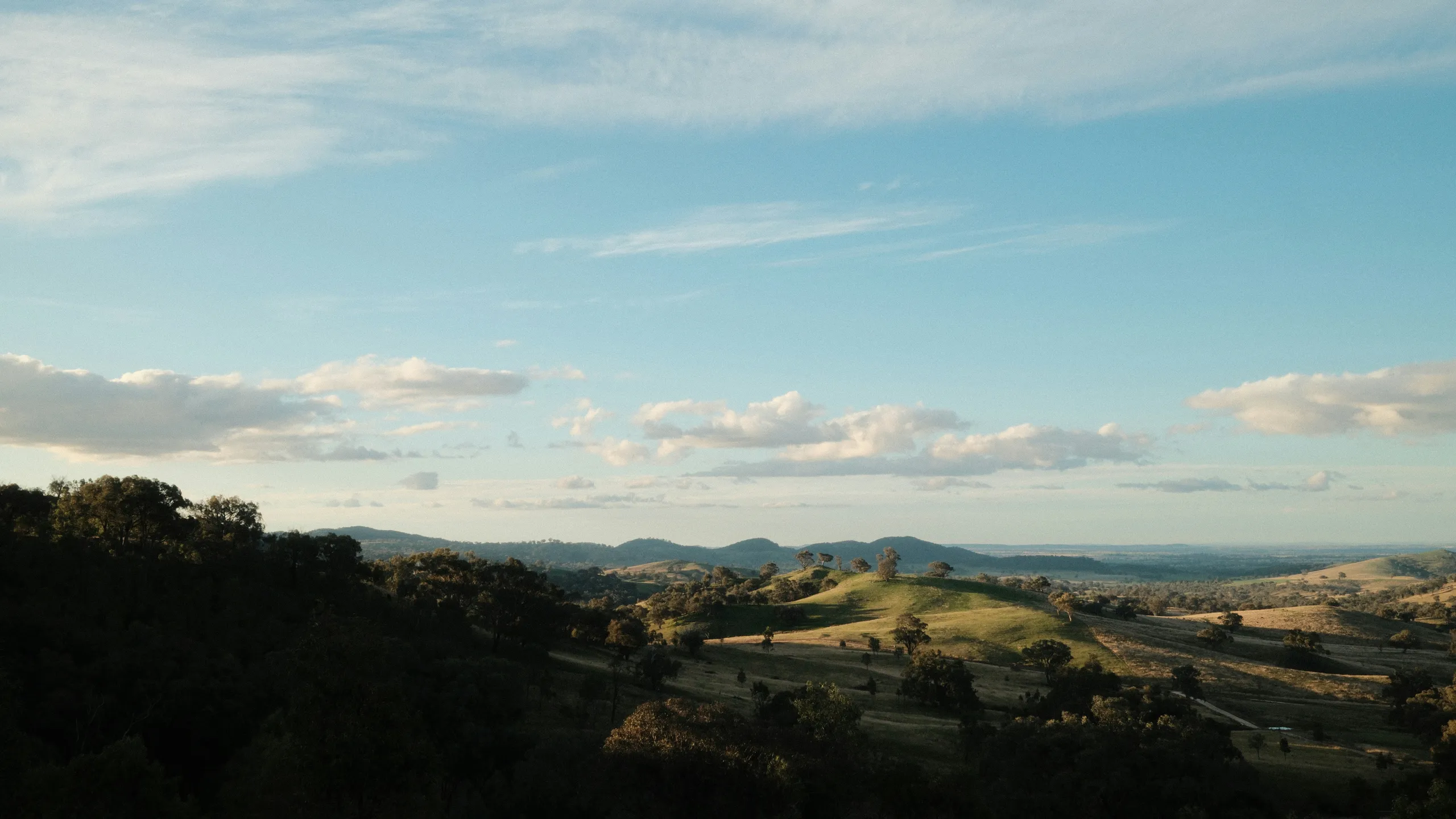 Mudgee Running Festival