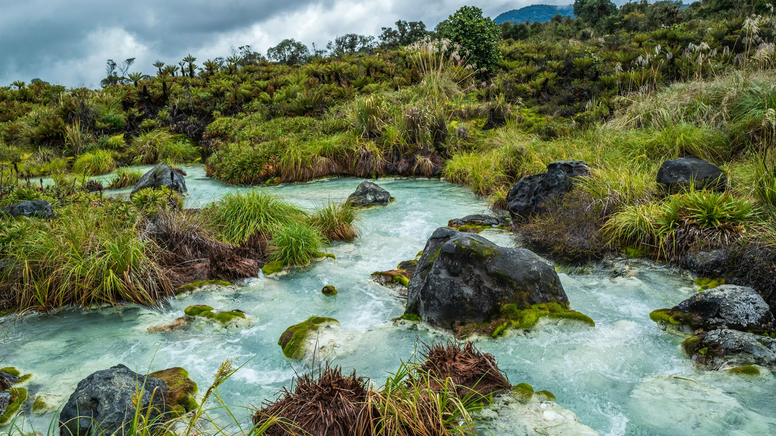 Sulphur Springs Trail Race