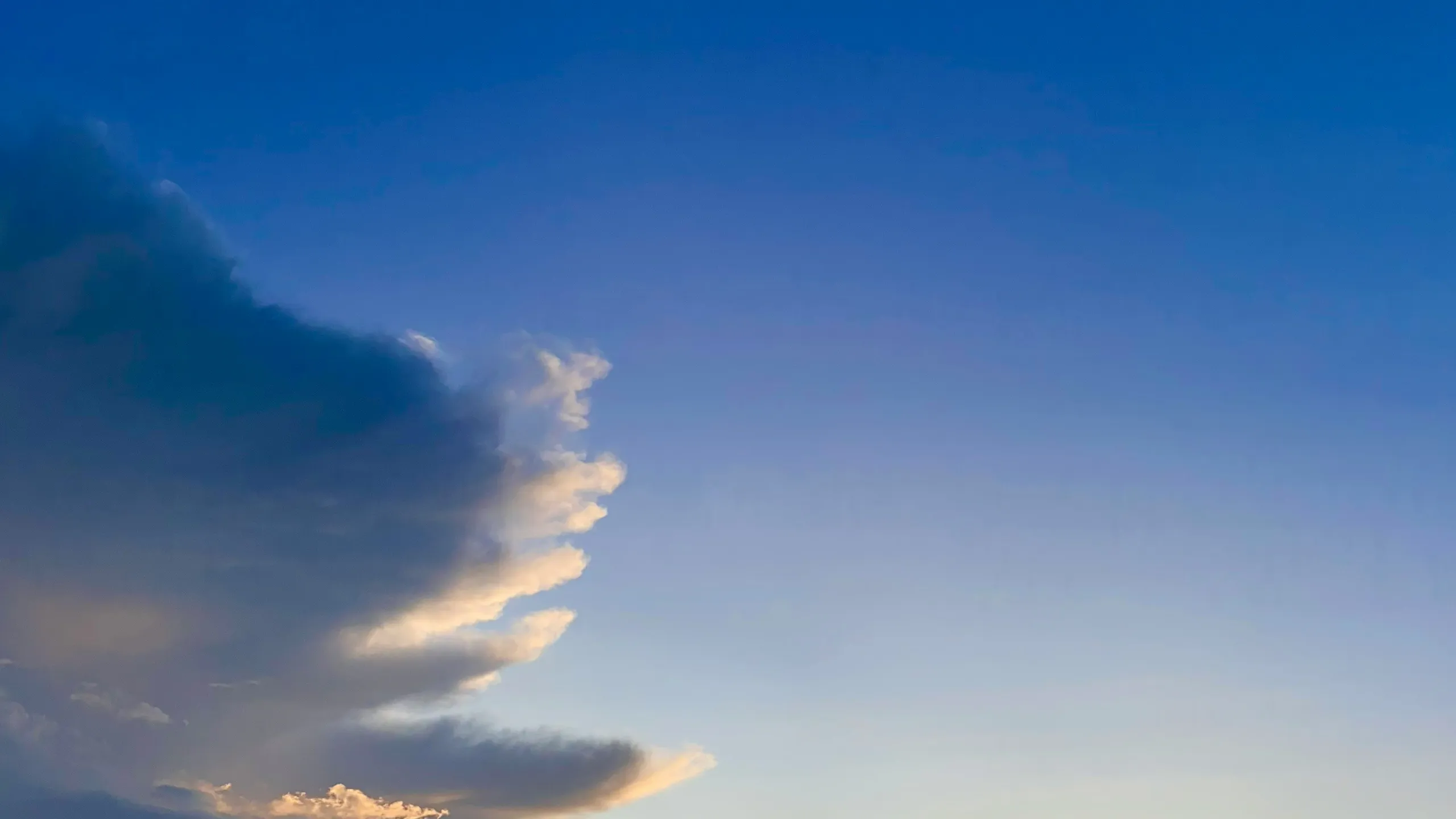 Vietnam TriFactor Championship 2025