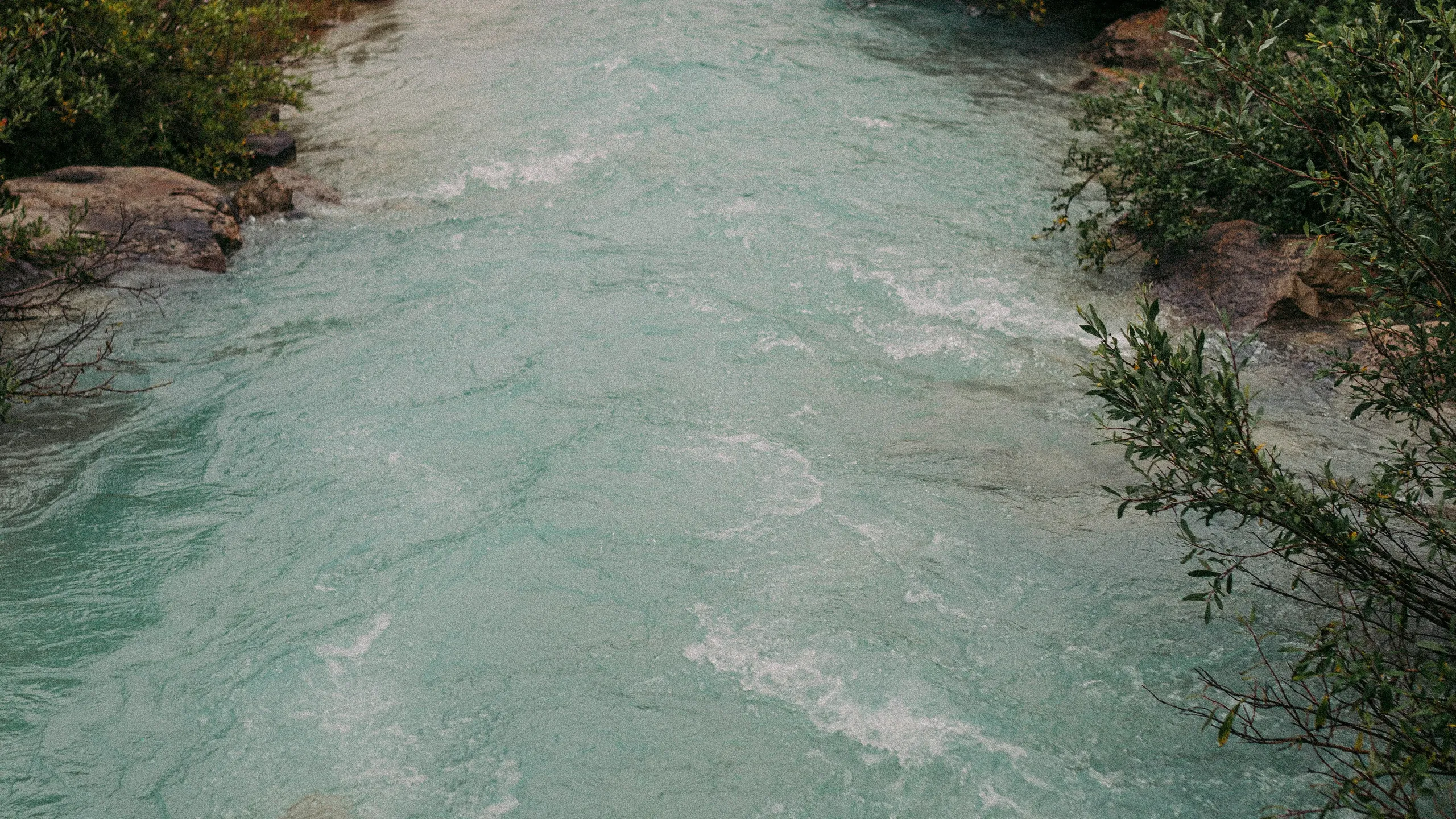 Hot Cider Hustle Grand Rapids 2025