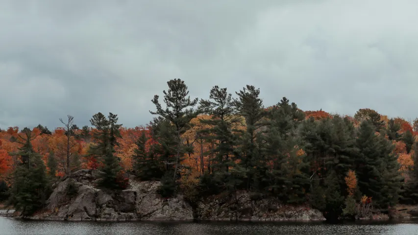 Falling Water Trail Marathon
