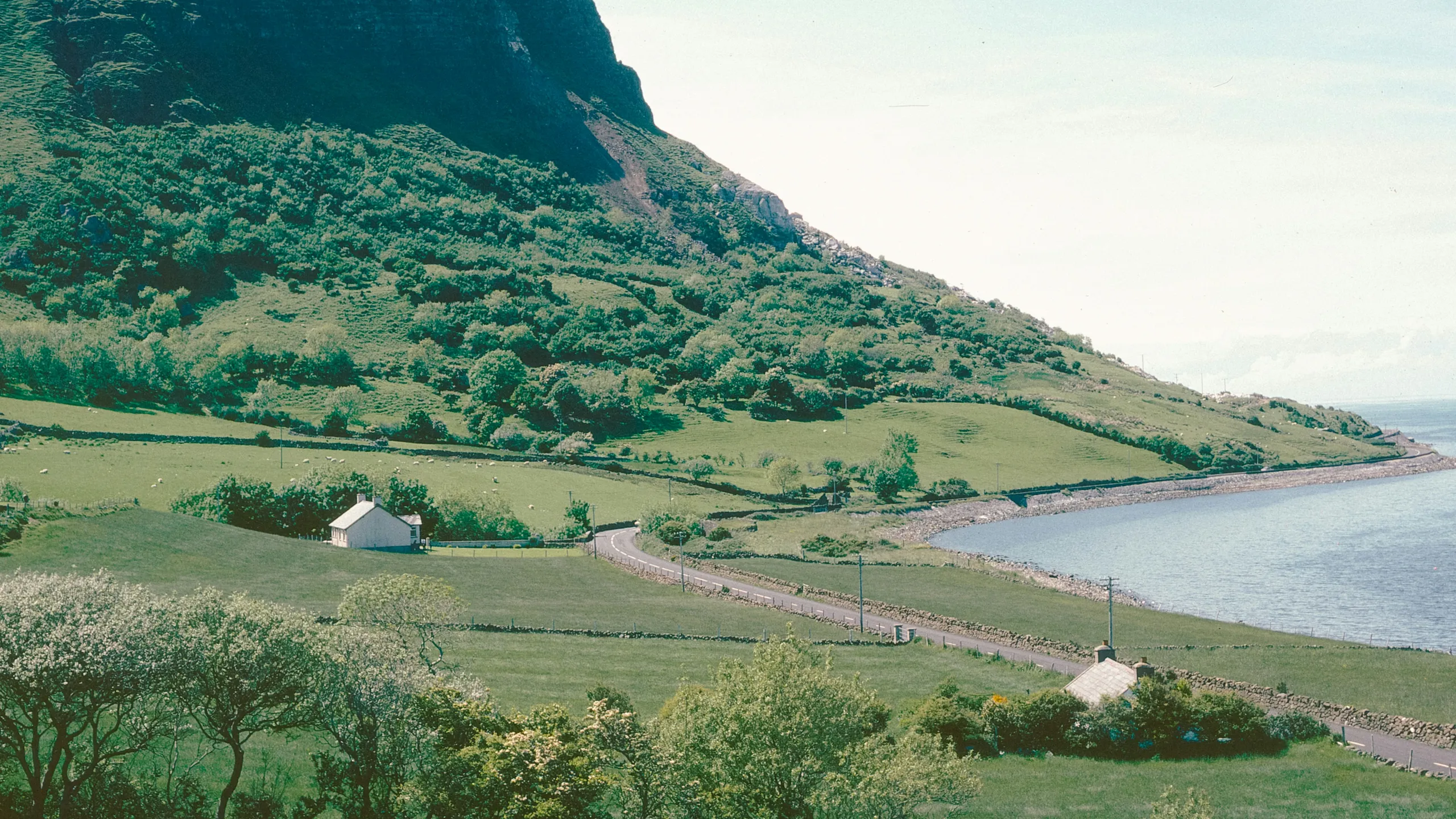 Wales Ultra Trail Classic 75 Miles
