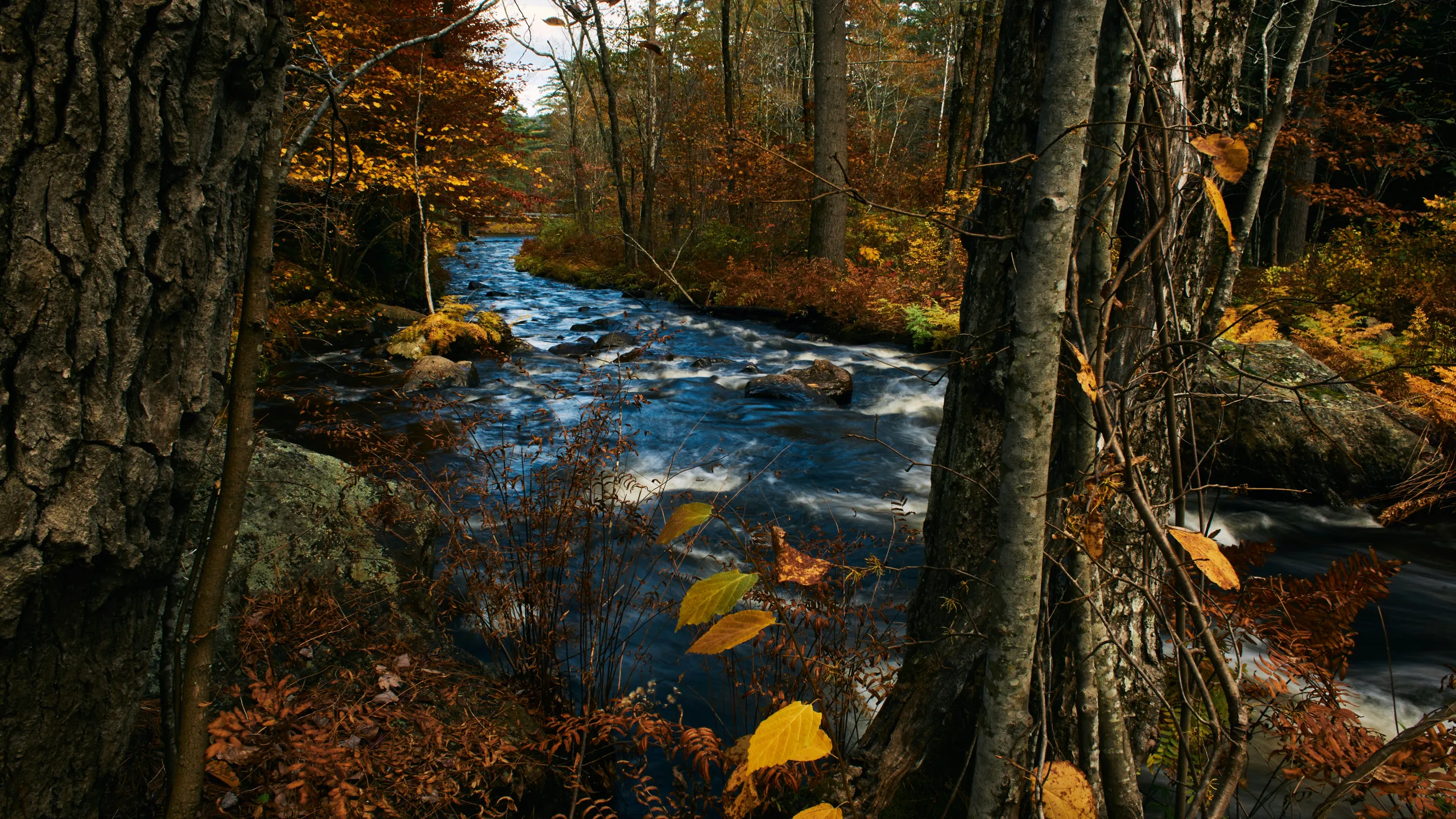 New Hampshire Marathon