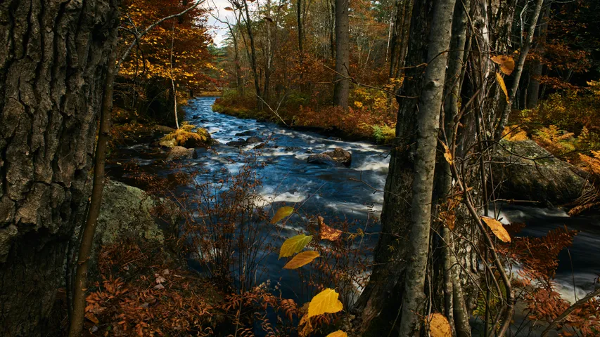 New Hampshire Marathon