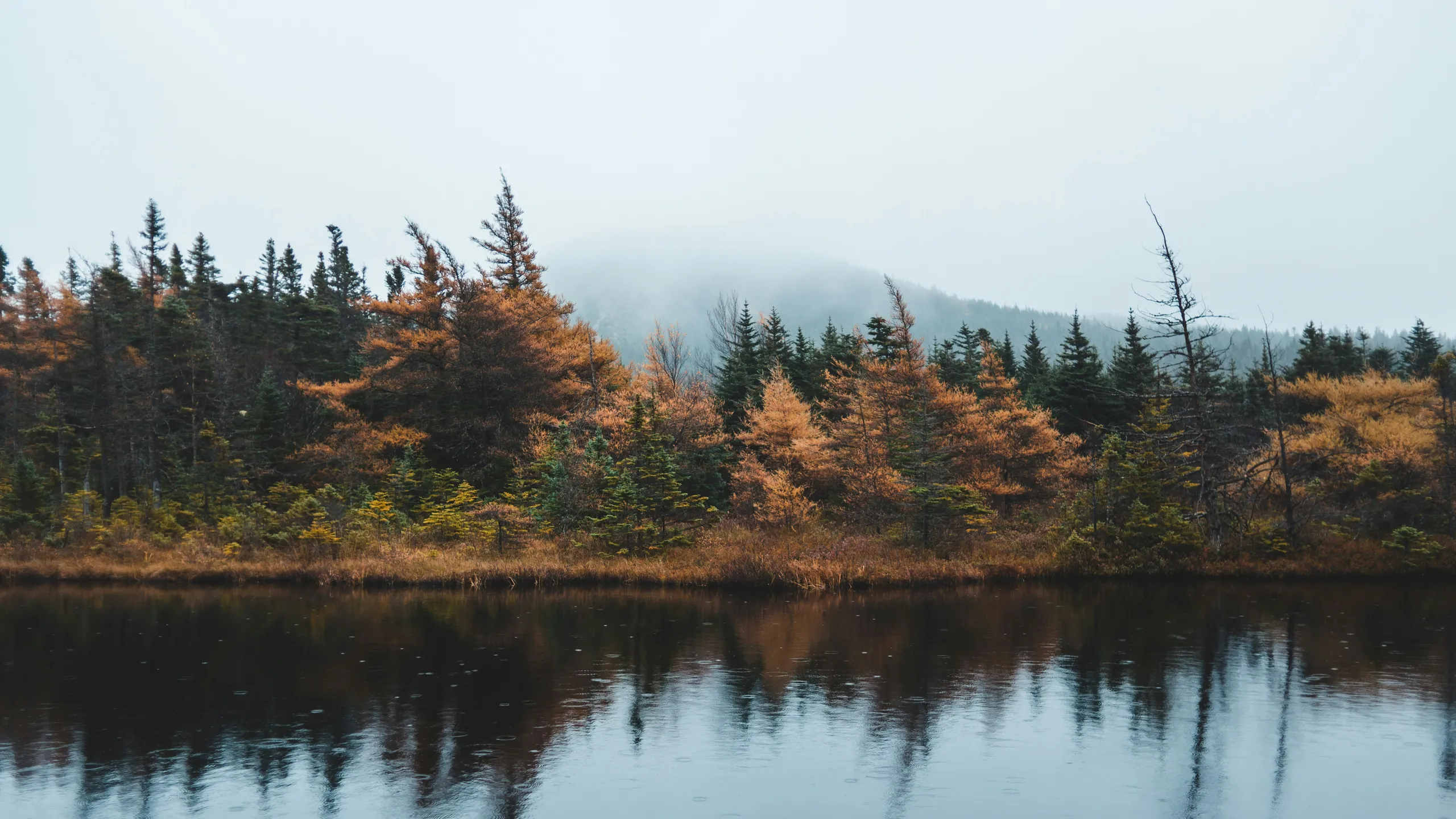 ECT 50 Ultra Marathon