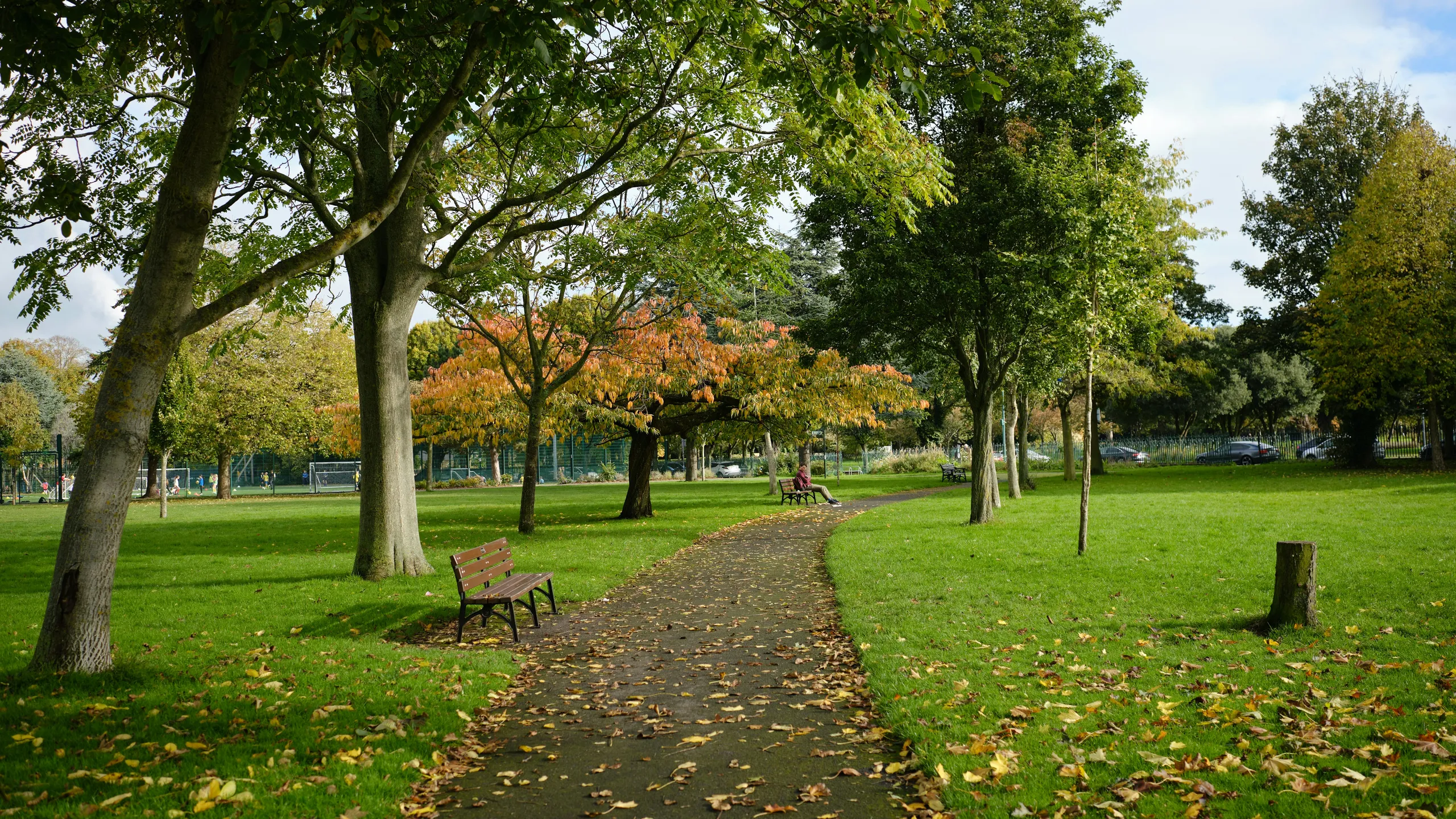 ATW St Albans New Years Eve 10K